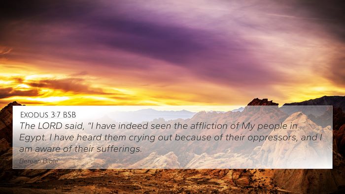 Exodus 3:7 BSB Bible Verse Image