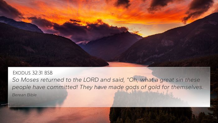 Exodus 32:31 BSB Bible Verse Image