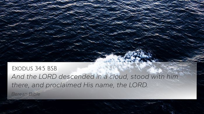 Exodus 34:5 BSB Bible Verse Image