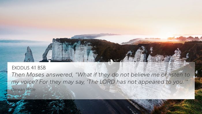 Exodus 4:1 BSB Bible Verse Image