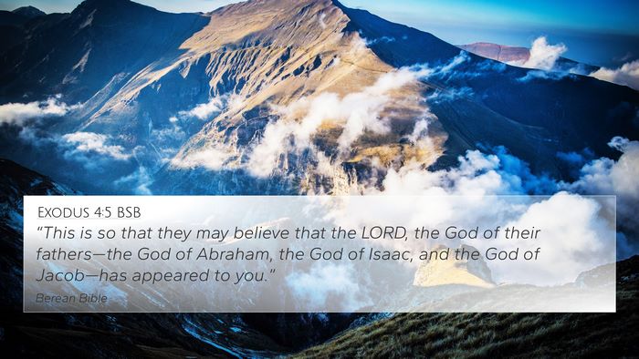 Exodus 4:5 BSB 4K Wallpaper - “This is so that they may believe that the - 4K Wallpaper Bible Verse