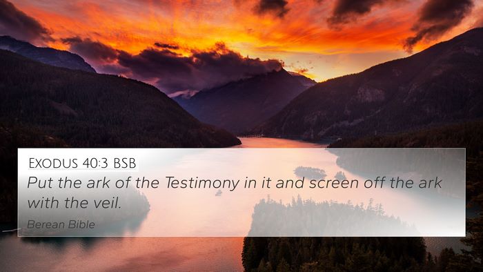 Exodus 40:3 BSB Bible Verse Image