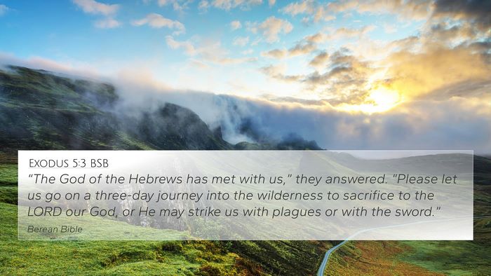 Exodus 5:3 BSB Bible Verse Image