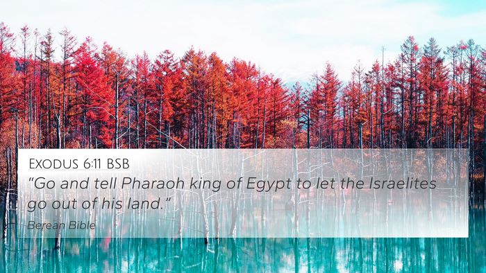 Exodus 6:11 BSB Bible Verse Image