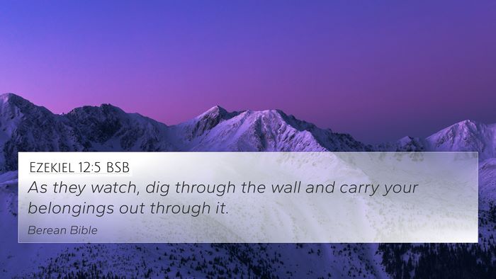 Ezekiel 12:5 BSB Bible Verse Image