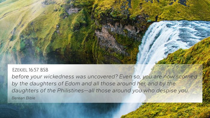 Ezekiel 16:57 BSB Bible Verse Image