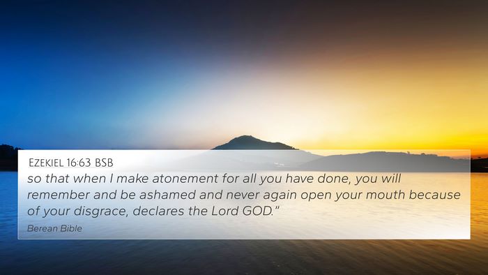 Ezekiel 16:63 BSB Bible Verse Image