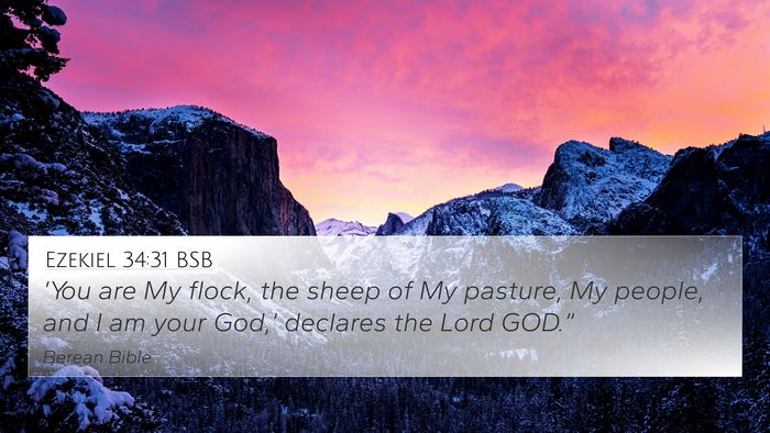 Ezekiel 34:31 BSB Bible Verse Image