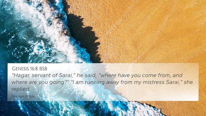 Genesis 16:8 BSB Bible Verse Image