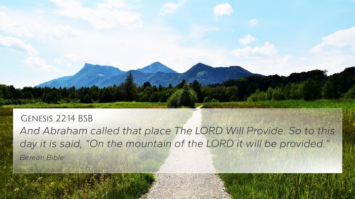Genesis 22:14 BSB Bible Verse Image