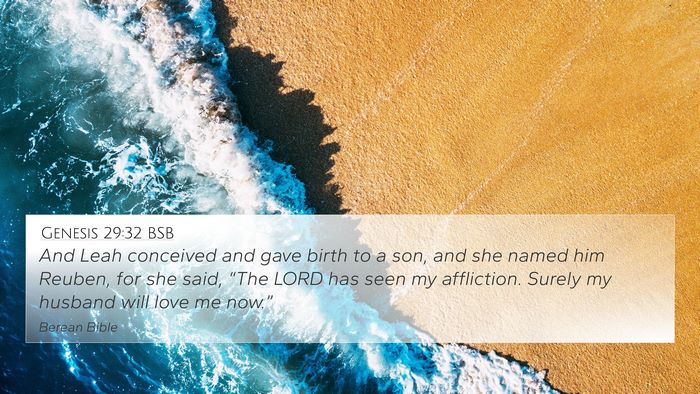Genesis 29:32 BSB Bible Verse Image
