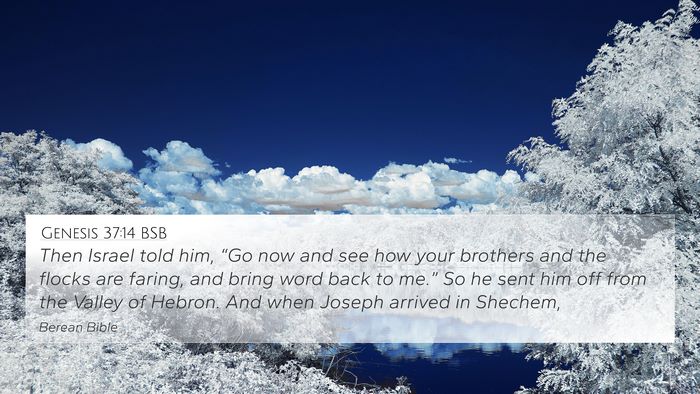 Genesis 37:14 BSB Bible Verse Image