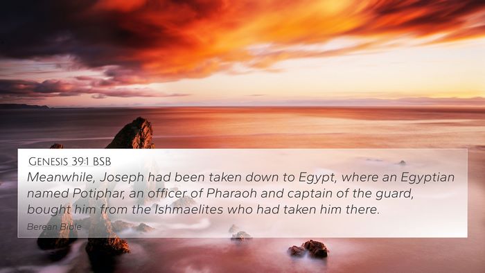 Genesis 39:1 BSB 4K Wallpaper - Meanwhile, Joseph had been taken down to Egypt, - 4K Wallpaper Bible Verse