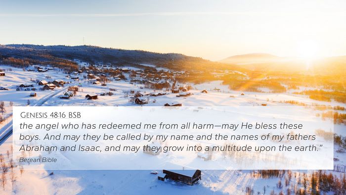 Genesis 48:16 BSB Bible Verse Image