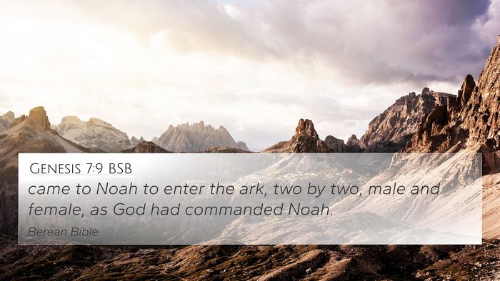 Genesis 7:9 BSB 4K Wallpaper - came to Noah to enter the ark, two by two, male - 4K Wallpaper Bible Verse