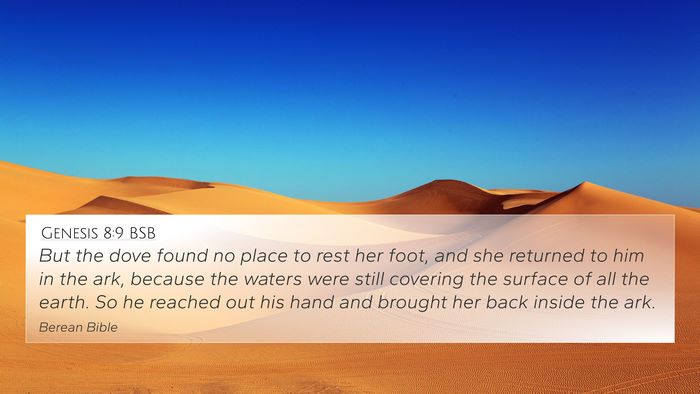 Genesis 8:9 BSB Bible Verse Image