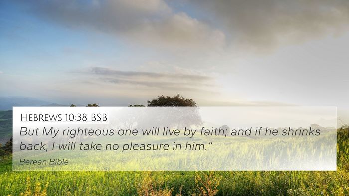 Hebrews 10:38 BSB Bible Verse Image