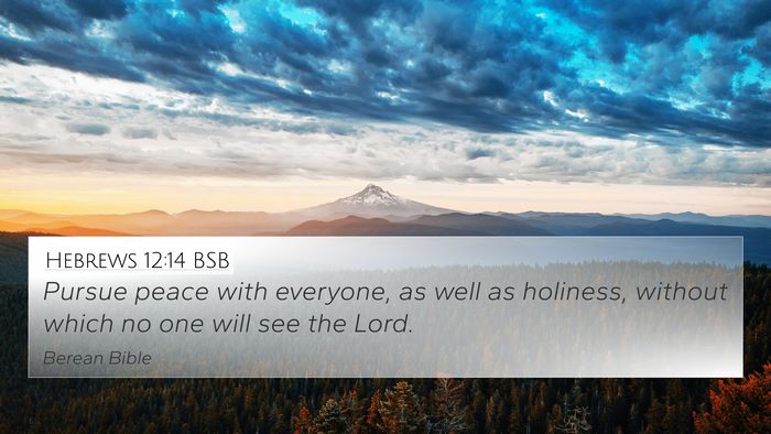 Hebrews 12:14 BSB Bible Verse Image