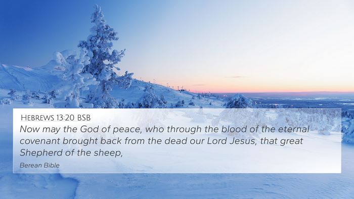 Hebrews 13:20 BSB Bible Verse Image