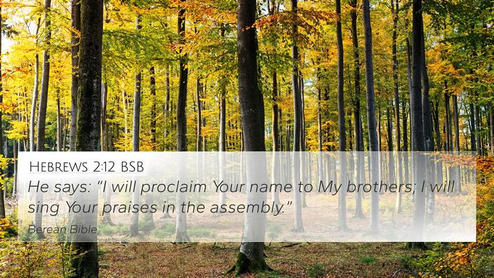 Hebrews 2:12 BSB Bible Verse Image