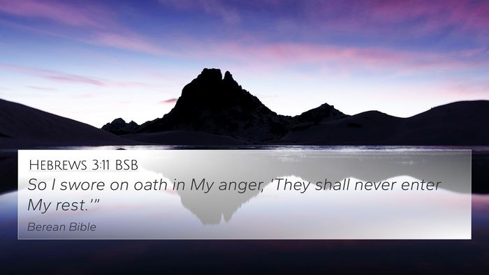 Hebrews 3:11 BSB Bible Verse Image