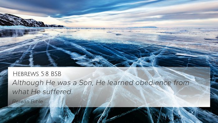 Hebrews 5:8 BSB Bible Verse Image