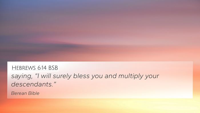 Hebrews 6:14 BSB 4K Wallpaper - saying, “I will surely bless you and multiply - 4K Wallpaper Bible Verse