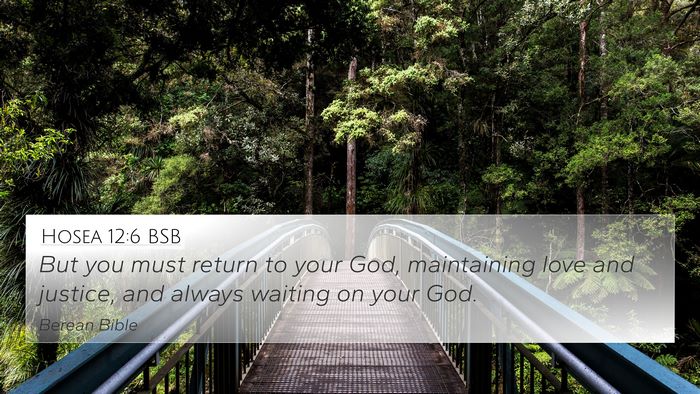 Hosea 12:6 BSB Bible Verse Image