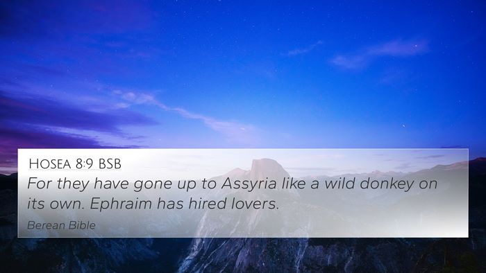 Hosea 8:9 BSB 4K Wallpaper - For they have gone up to Assyria like a wild - 4K Wallpaper Bible Verse