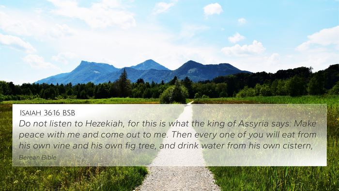 Isaiah 36:16 BSB Bible Verse Image