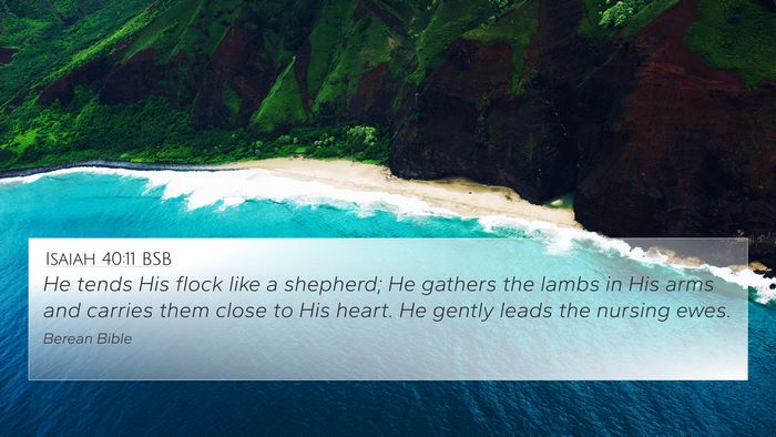 Isaiah 40:11 BSB Bible Verse Image