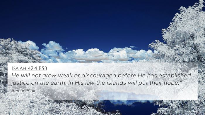 Isaiah 42:4 BSB Bible Verse Image