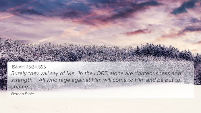 Isaiah 45:24 BSB Bible Verse Image
