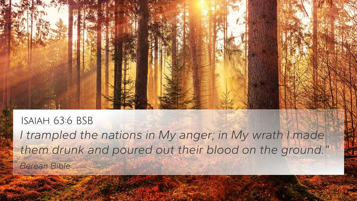 Isaiah 63:6 BSB Bible Verse Image