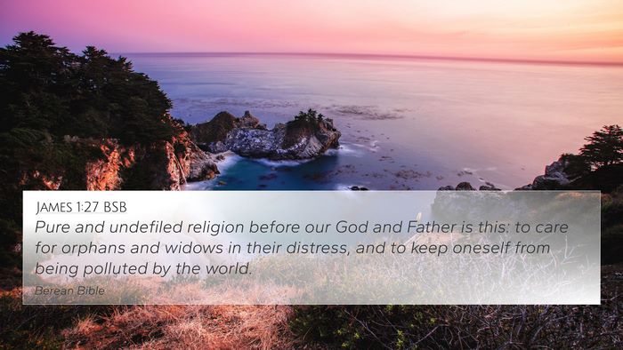 James 1:27 BSB 4K Wallpaper - Pure and undefiled religion before our God and - 4K Wallpaper Bible Verse