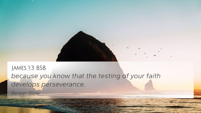 James 1:3 BSB Bible Verse Image