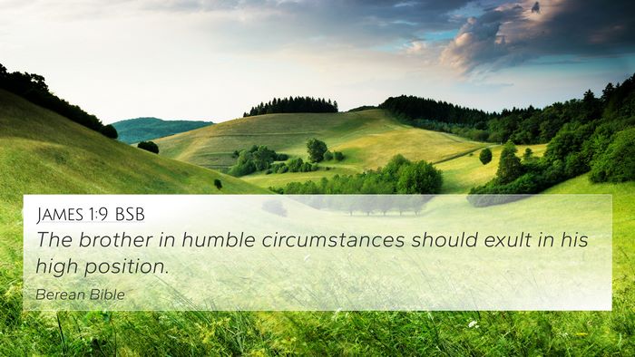 James 1:9 BSB Bible Verse Image