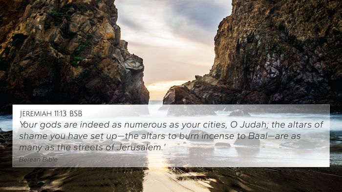 Jeremiah 11:13 BSB Bible Verse Image