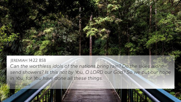 Jeremiah 14:22 BSB Bible Verse Image