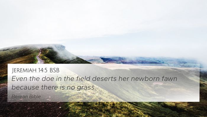 Jeremiah 14:5 BSB Bible Verse Image