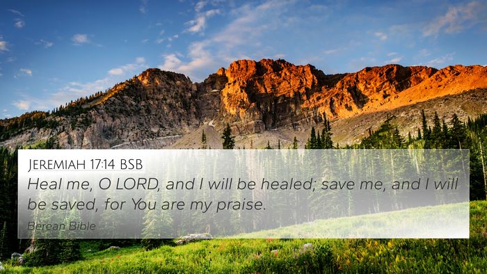 Jeremiah 17:14 BSB Bible Verse Image