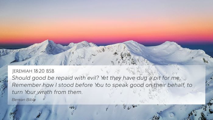 Jeremiah 18:20 BSB Bible Verse Image