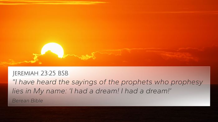 Jeremiah 23:25 BSB Bible Verse Image