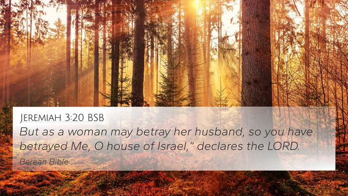 Jeremiah 3:20 BSB Bible Verse Image
