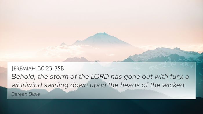 Jeremiah 30:23 BSB Bible Verse Image