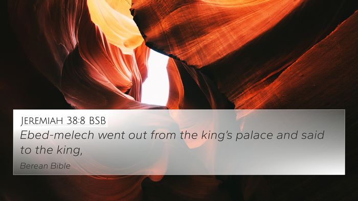 Jeremiah 38:8 BSB Bible Verse Image
