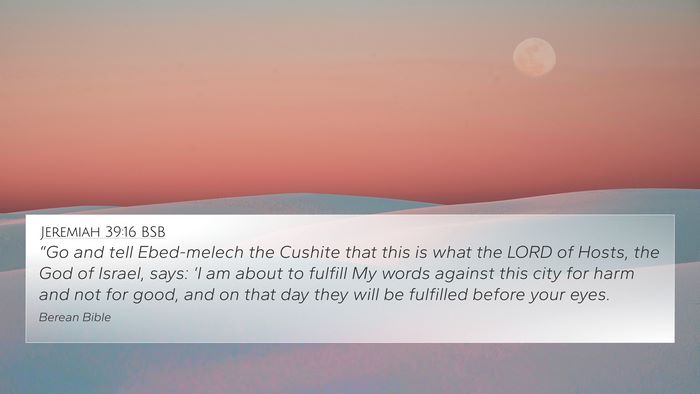 Jeremiah 39:16 BSB Bible Verse Image