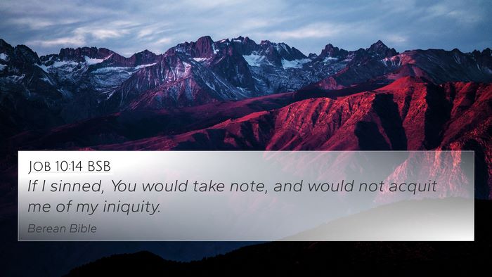 Job 10:14 BSB Bible Verse Image