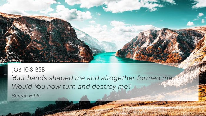 Job 10:8 BSB 4K Wallpaper - Your hands shaped me and altogether formed me. - 4K Wallpaper Bible Verse