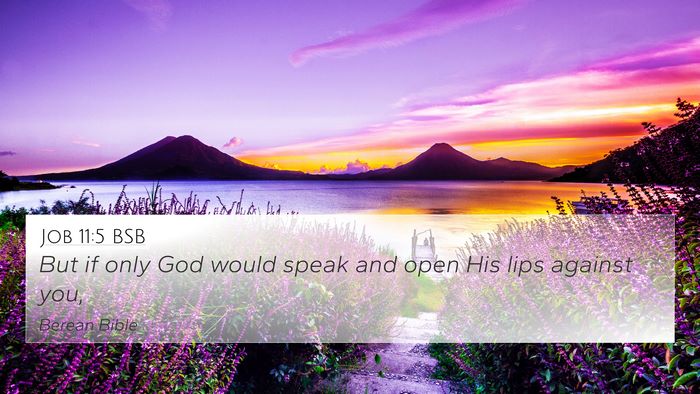 Job 11:5 BSB Bible Verse Image